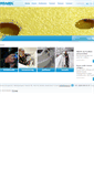 Mobile Screenshot of kovax.nl
